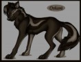 /album/fotogaleria/black-wolf-jpg/